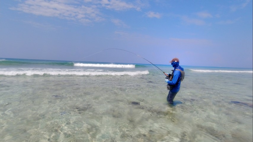 Surf fishing Maldives.